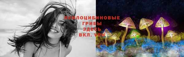 тгк Щигры