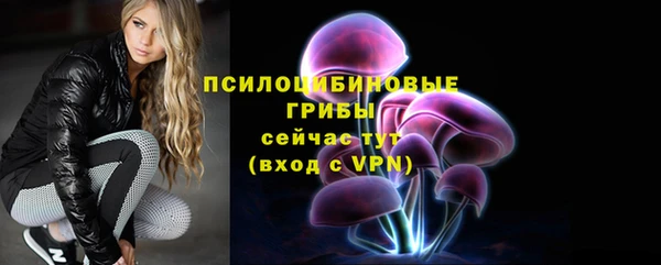 спайс Шали
