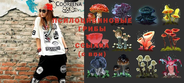 тгк Щигры
