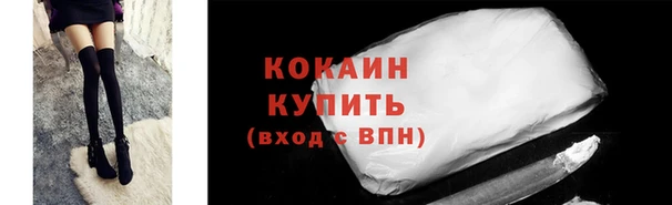 ГАЛЛЮЦИНОГЕННЫЕ ГРИБЫ Удомля