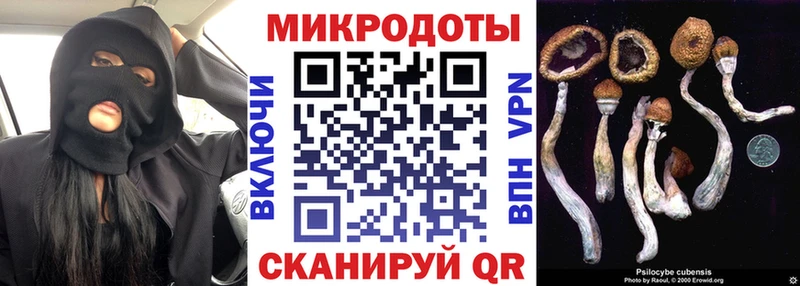 Псилоцибиновые грибы ЛСД  как найти закладки  Ялта 